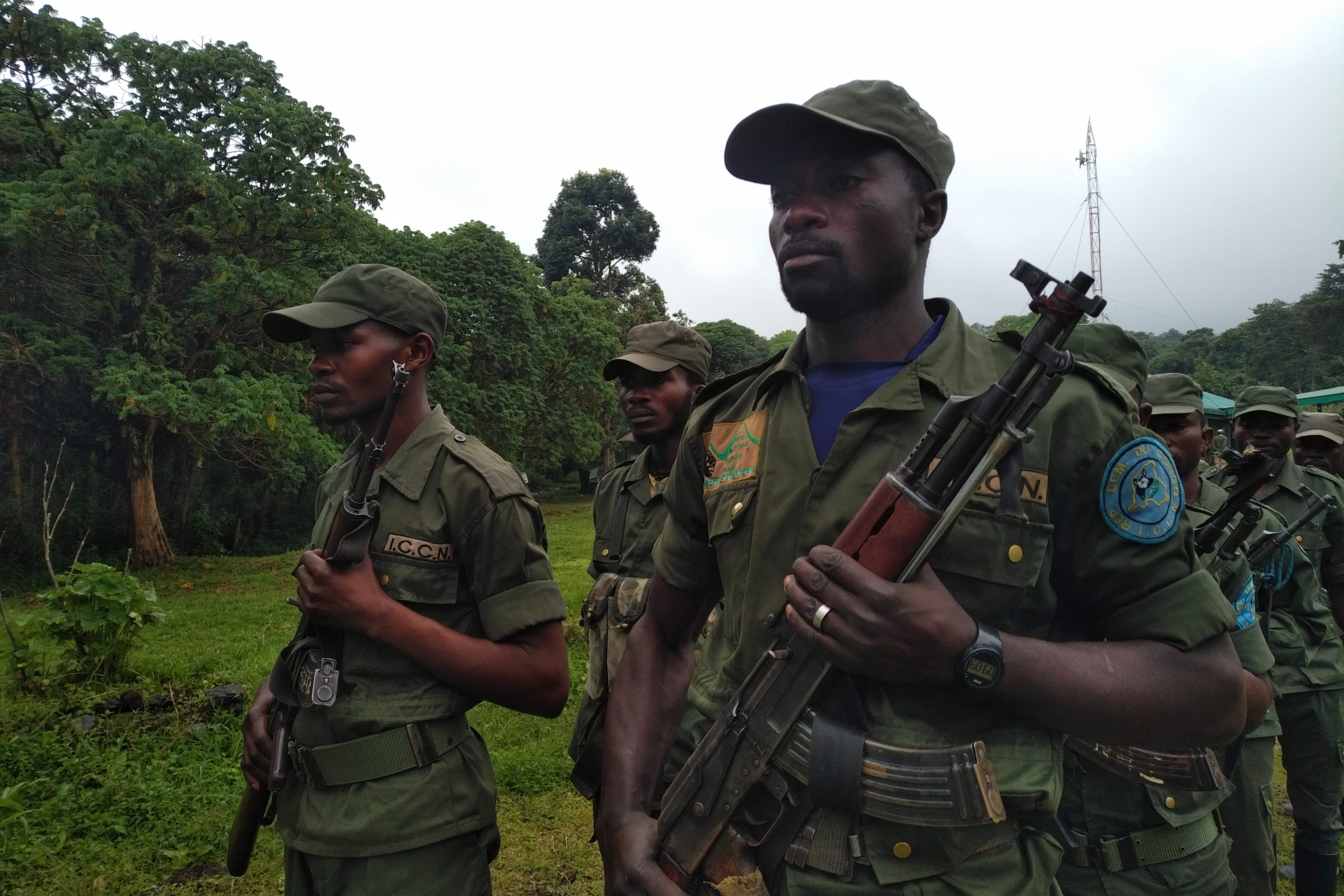 Kleine Anfrage: Menschenrechtsverletzungen im kongolesischen Nationalpark